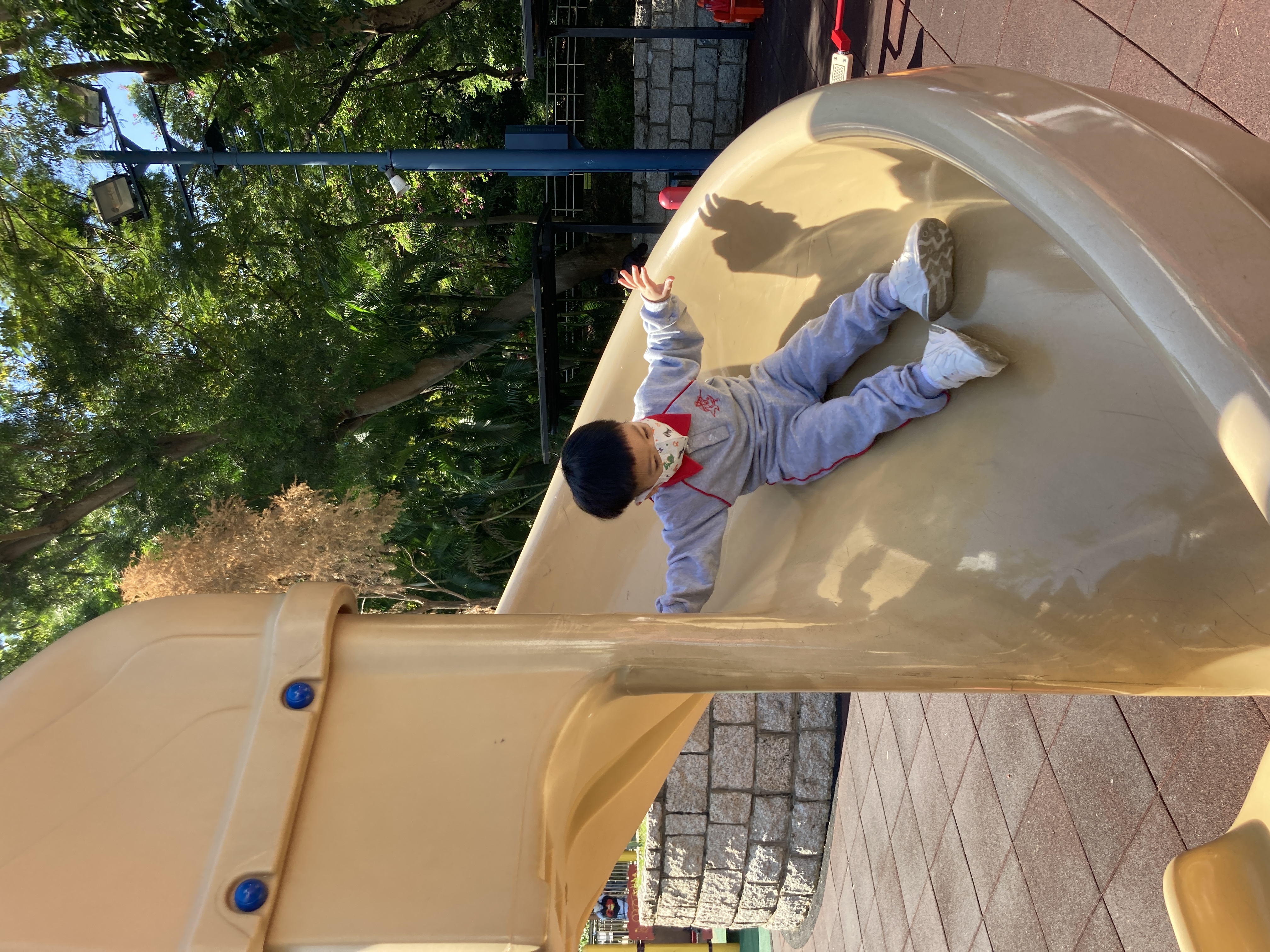 slide-6 slide